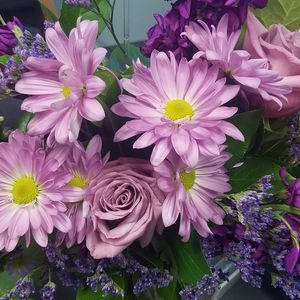 Meet your Posher, Lori